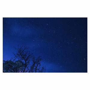 亚洲人无码r18黄色视频
